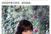 娱乐圈吃瓜贴吧,幕后真相与明星隐私曝光